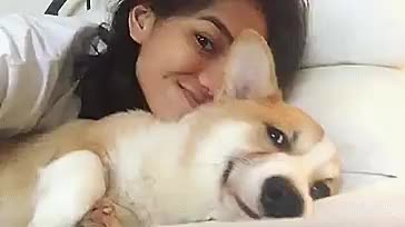 Smug dog being interrupted