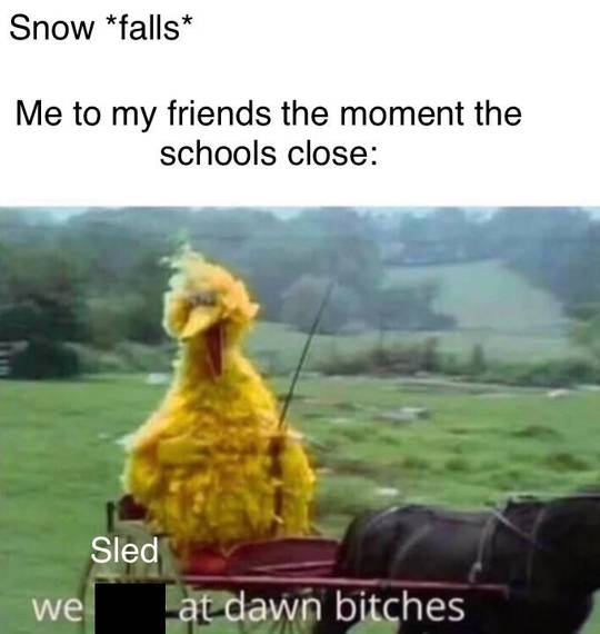 Snow days