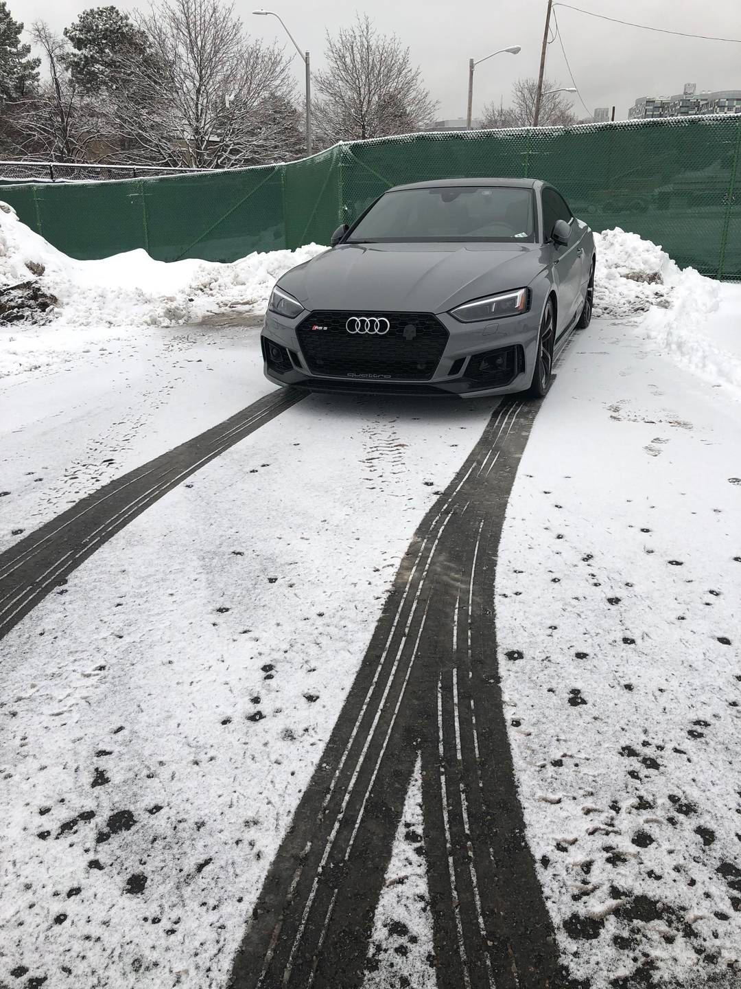 Snowy Monday