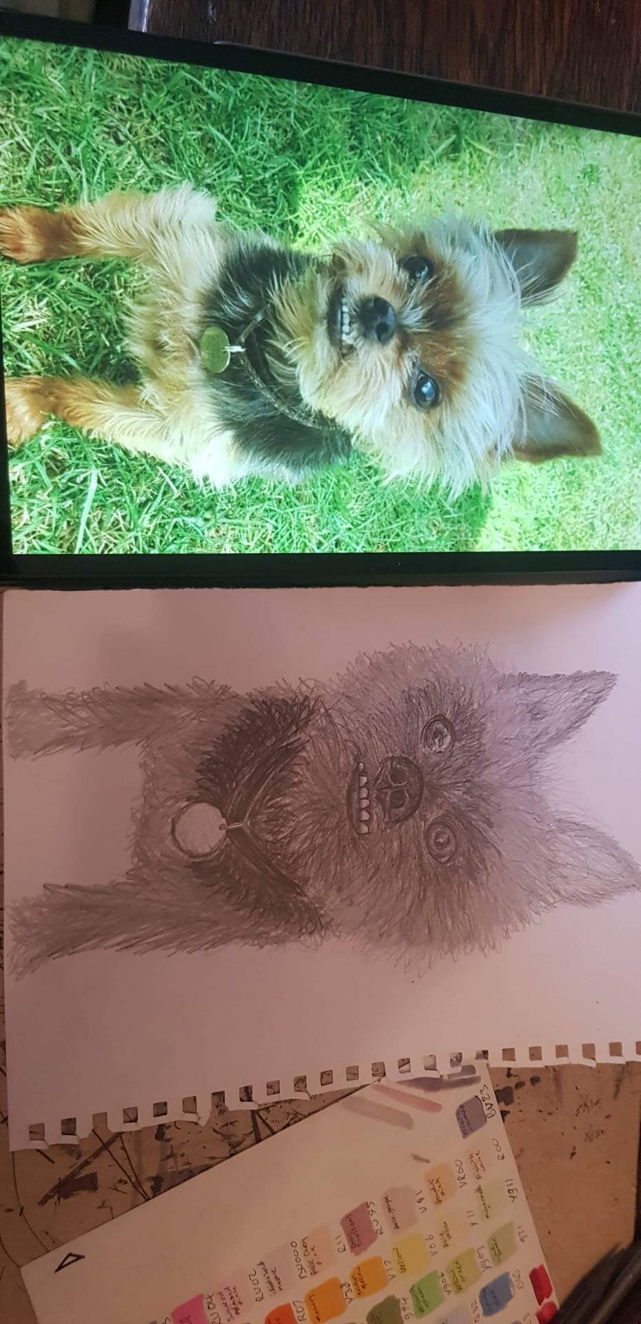 So i asked a friend to sketch a picture of my dog for a gift to my parents. It didnt quite turn out how i expected, but how glad im am i didnt.. He looks like hes licked a plug socket
