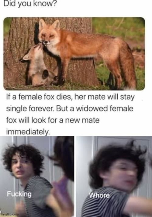 So much for true love