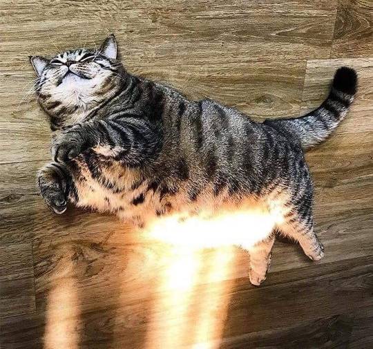 Solar-powered chub