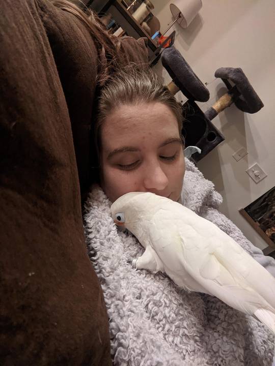Someone likes my soft sweater