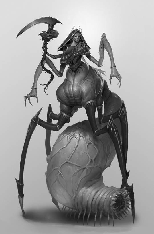 Spider by Shredder Dima