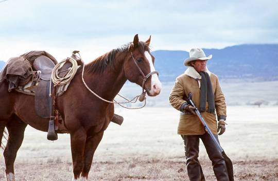 Steve McQueen as Tom Horn