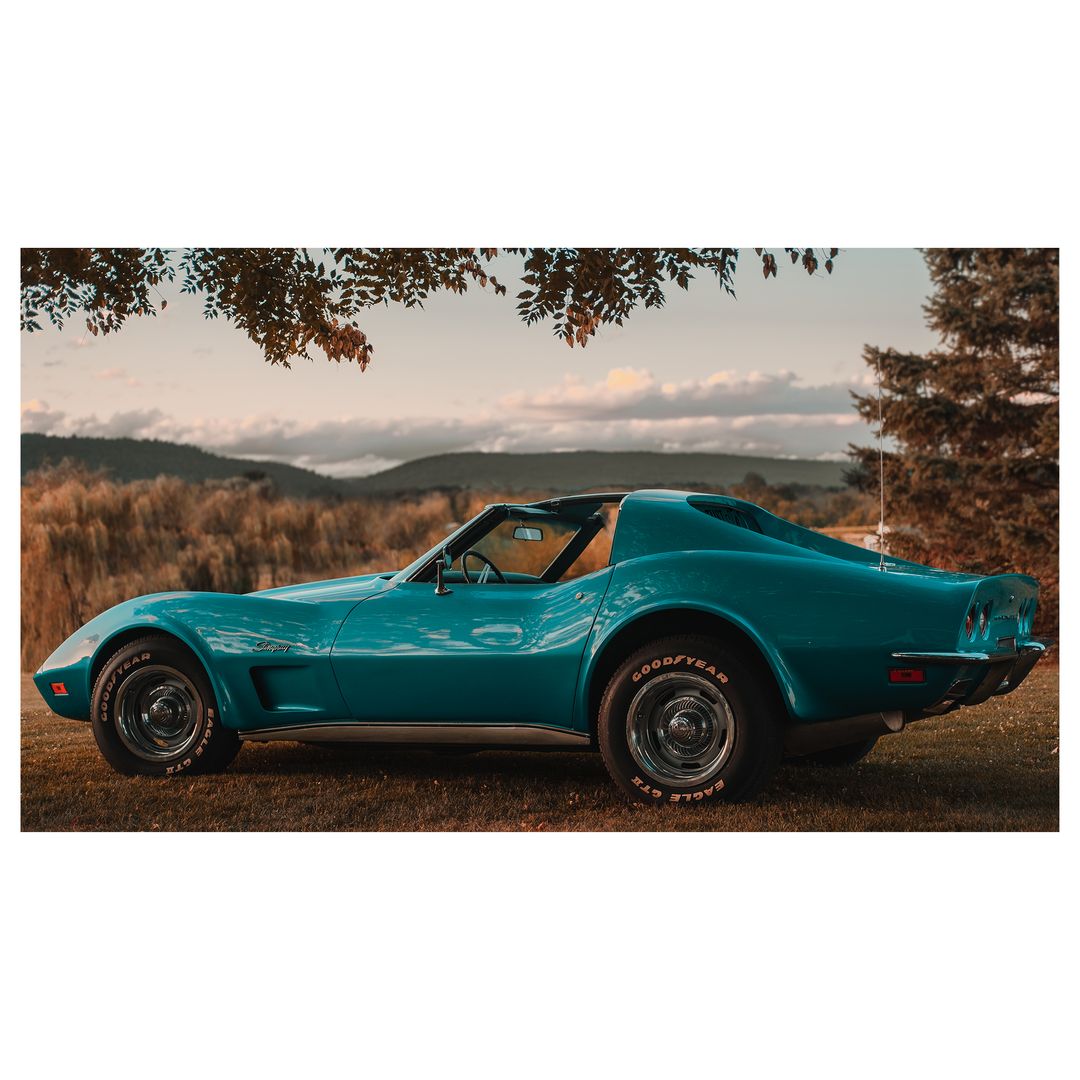 Stingray, X-H1, 35mm 2.0