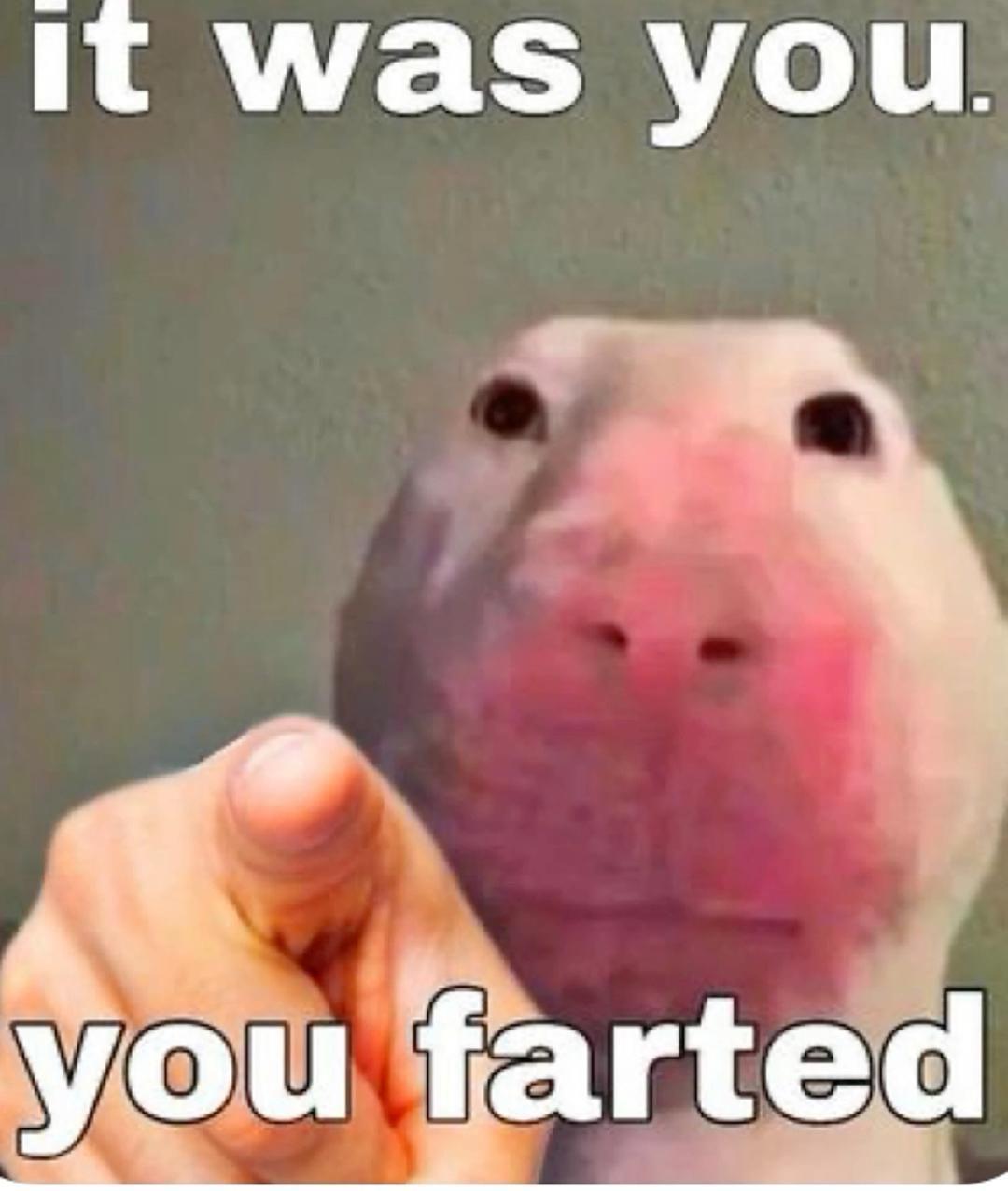 Stinky ass eggs and beans