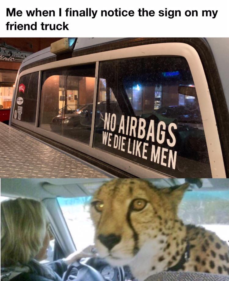 Stop this car right now