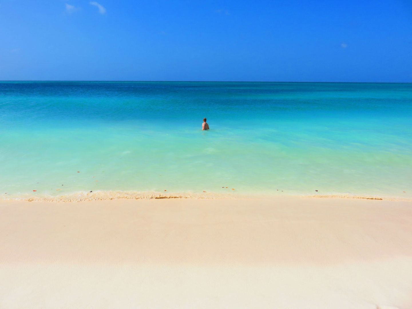 Stunning Eagle beach on Aruba [OC] [3456x2592]