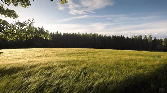 Summer Breeze.