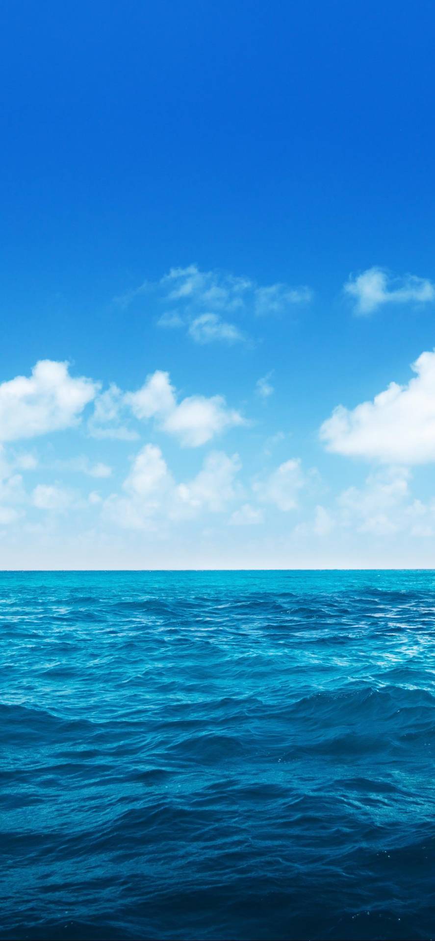 Ocean