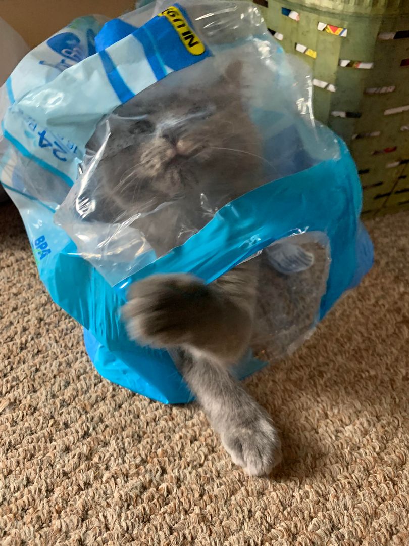 Surprise attack from Pico.