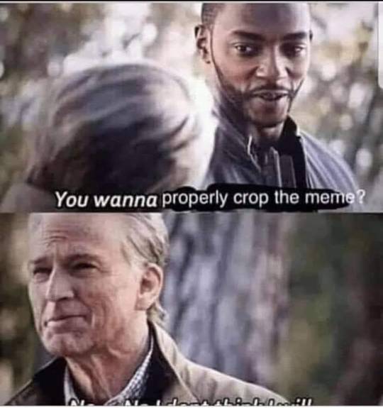 t(•.•t)