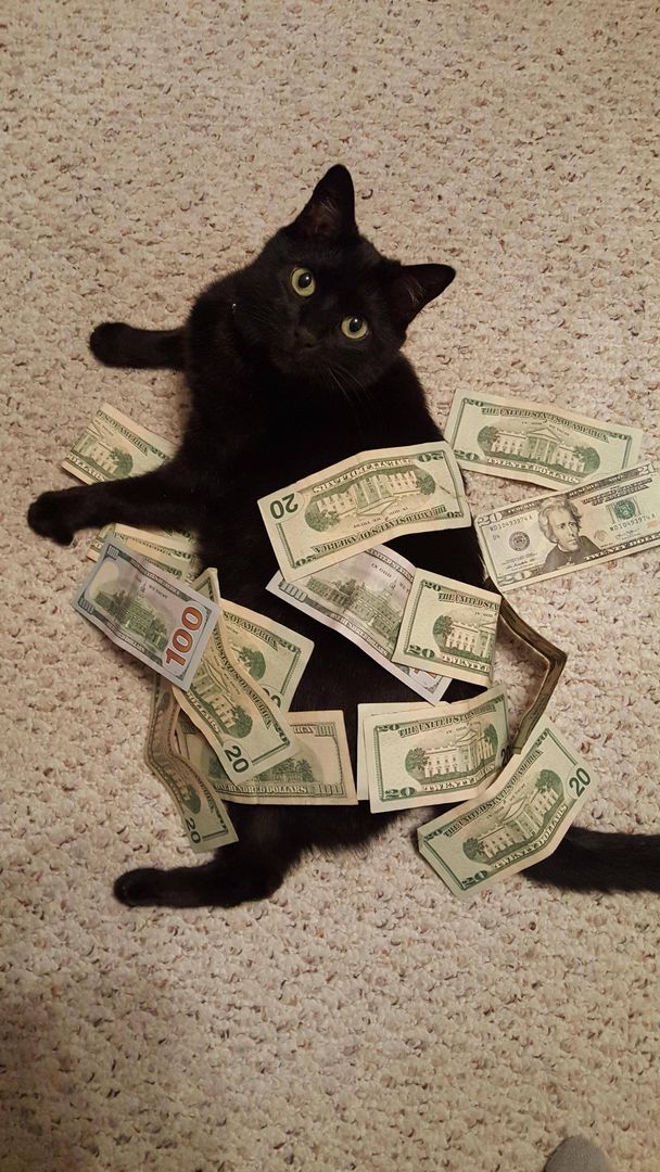 Taking a money bath