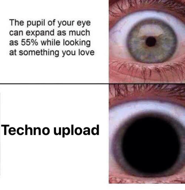 Techno meme