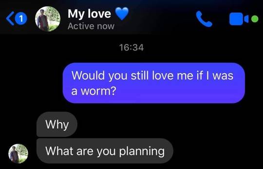 Tf🐛irl
