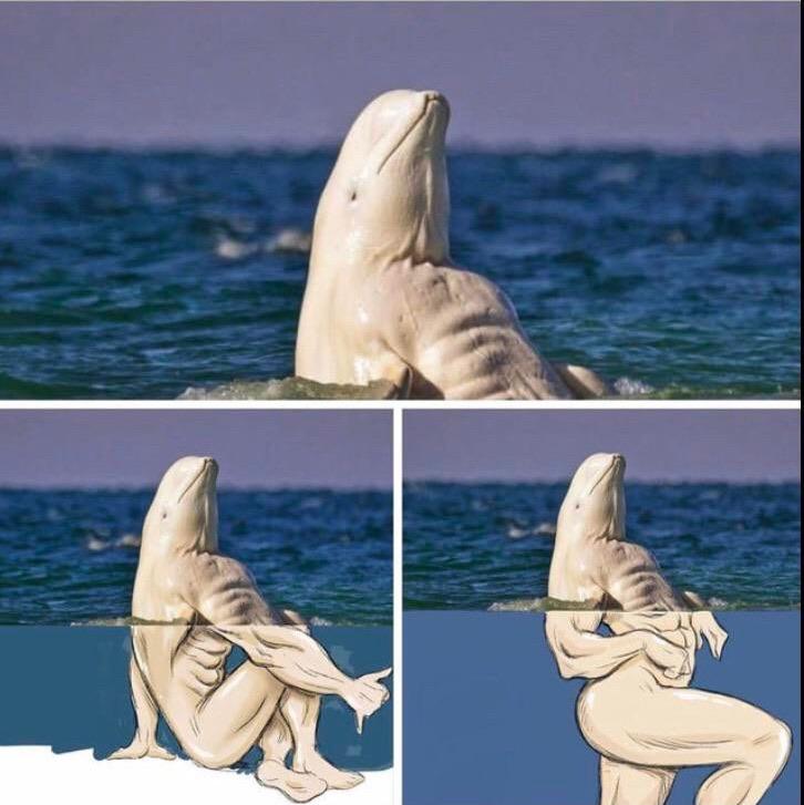 More Beluga buff
