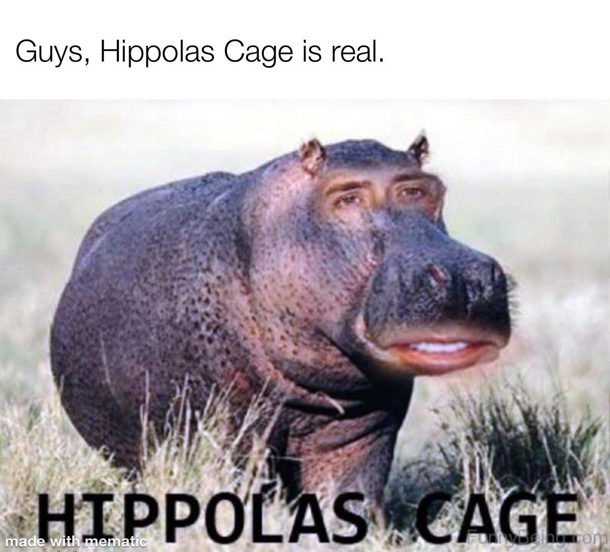 Thanks, I hate Hippols Cage