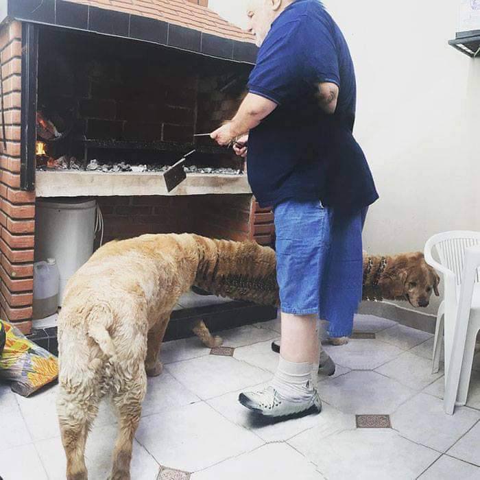 Thanks, I hate panoramic dog pics