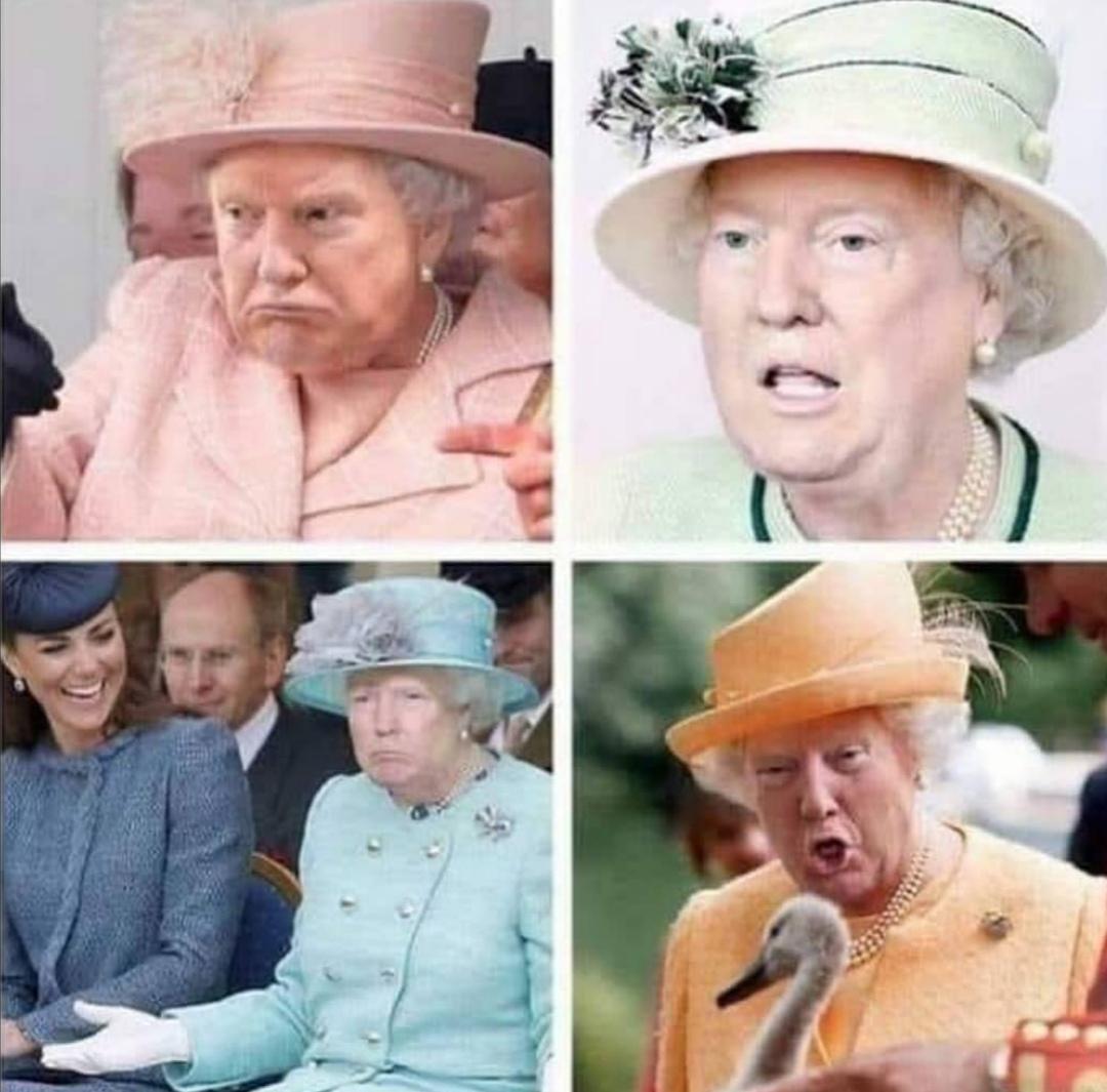 Thanks I hate Queen Donald 2nd