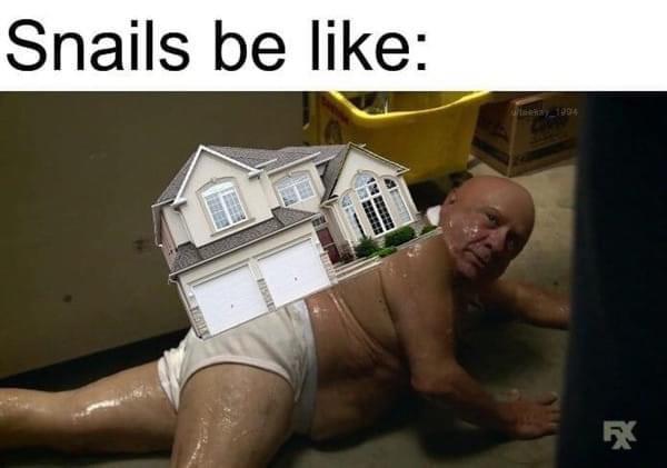 Thanks, I hate snails!