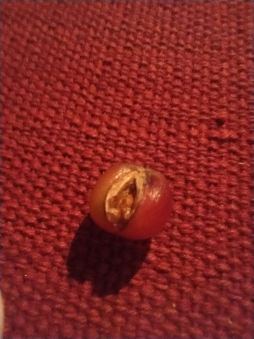 Thanks, I hate this fucking grape