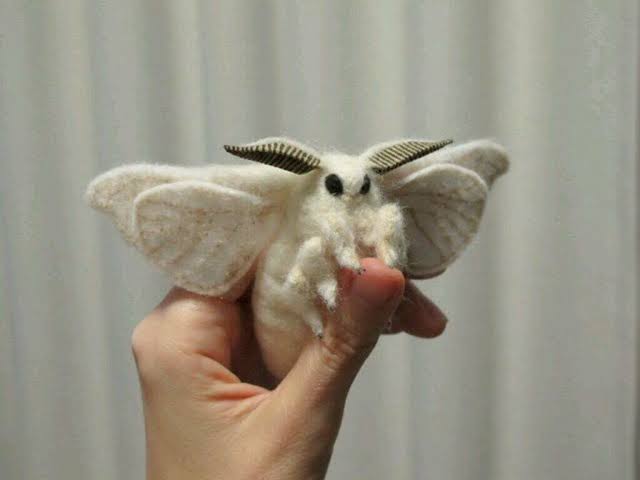 thanks, i love this cute moth