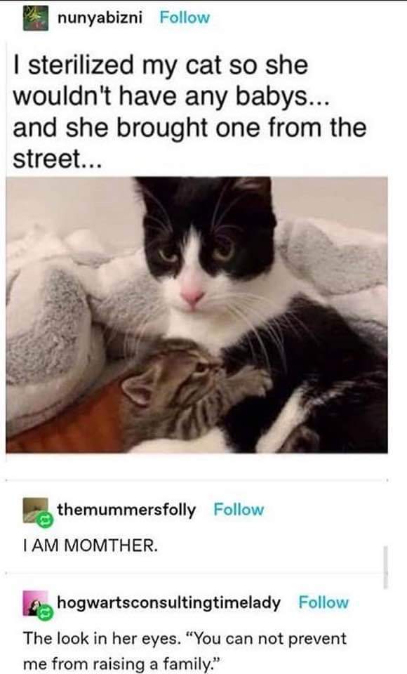 that little shi....