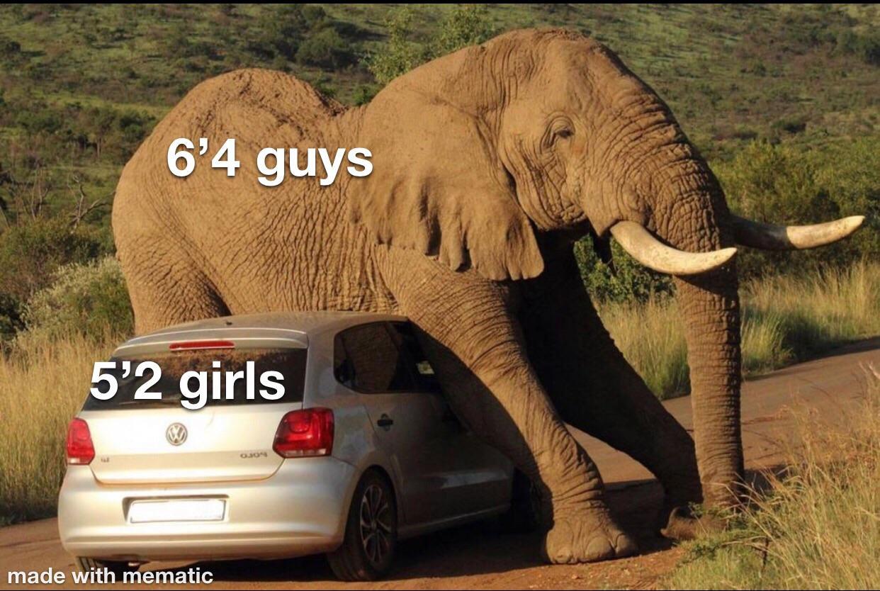 That’s gonna leave a Mark