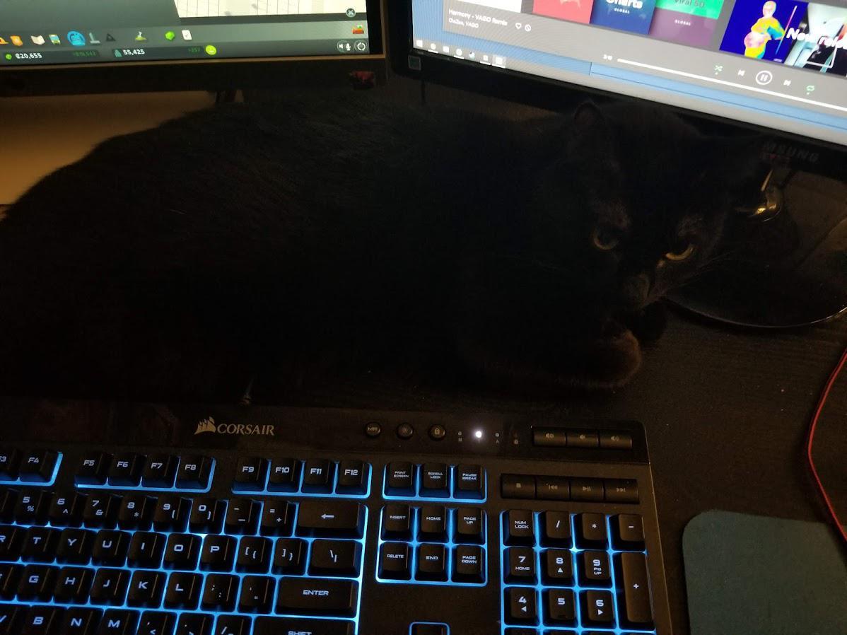 The Angry Void Keyboard Guardian