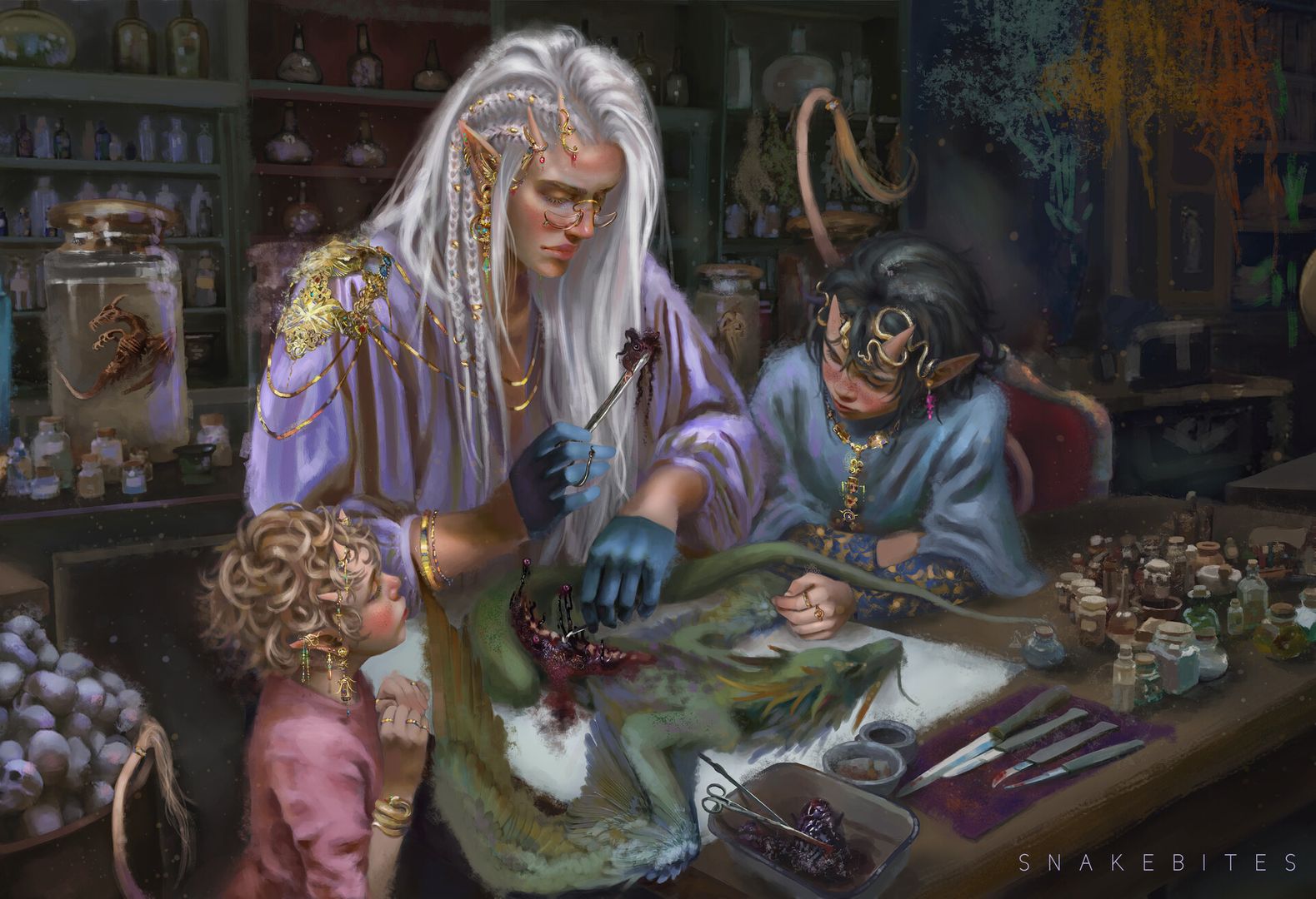 The Apothecary by Snakebites