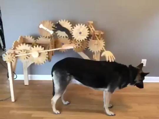 The automatic dog petting machine