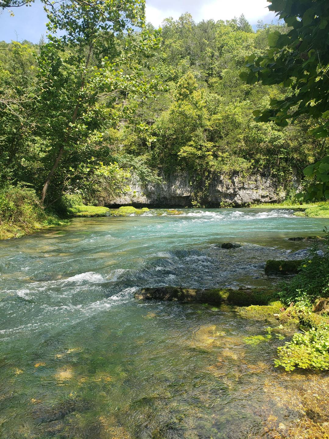 The beauty of welch spring