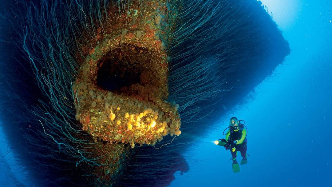 The bow of this sunken ship looks like a giant fish's mouth.