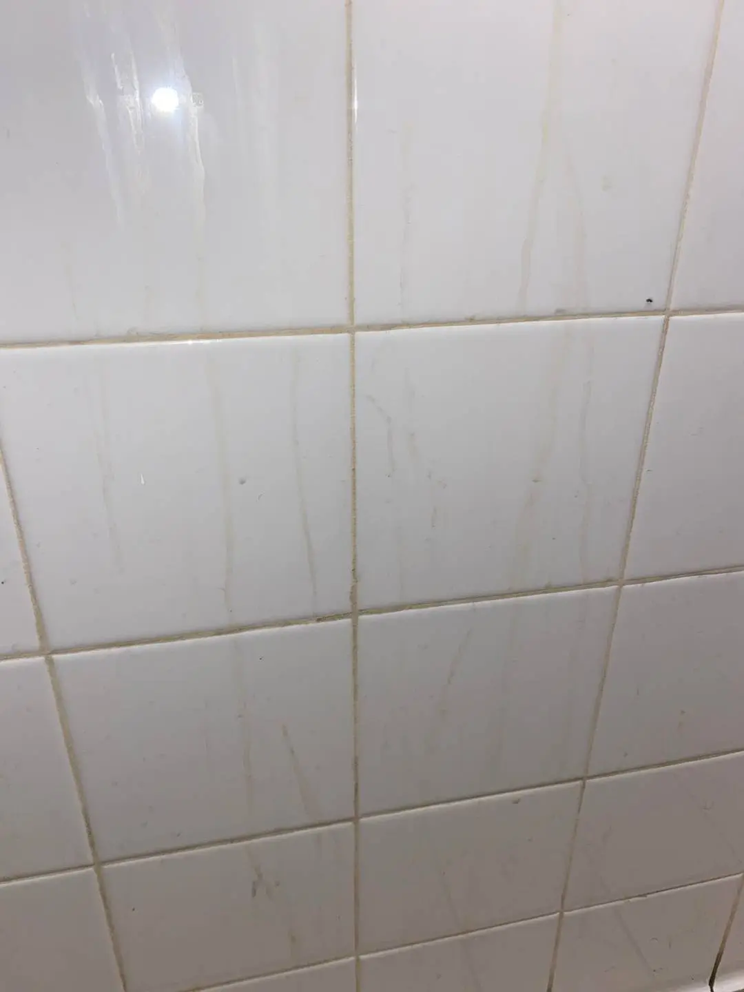 Close-up of cum trails and stains on white bathroom tiles at a college dorm cum wall.