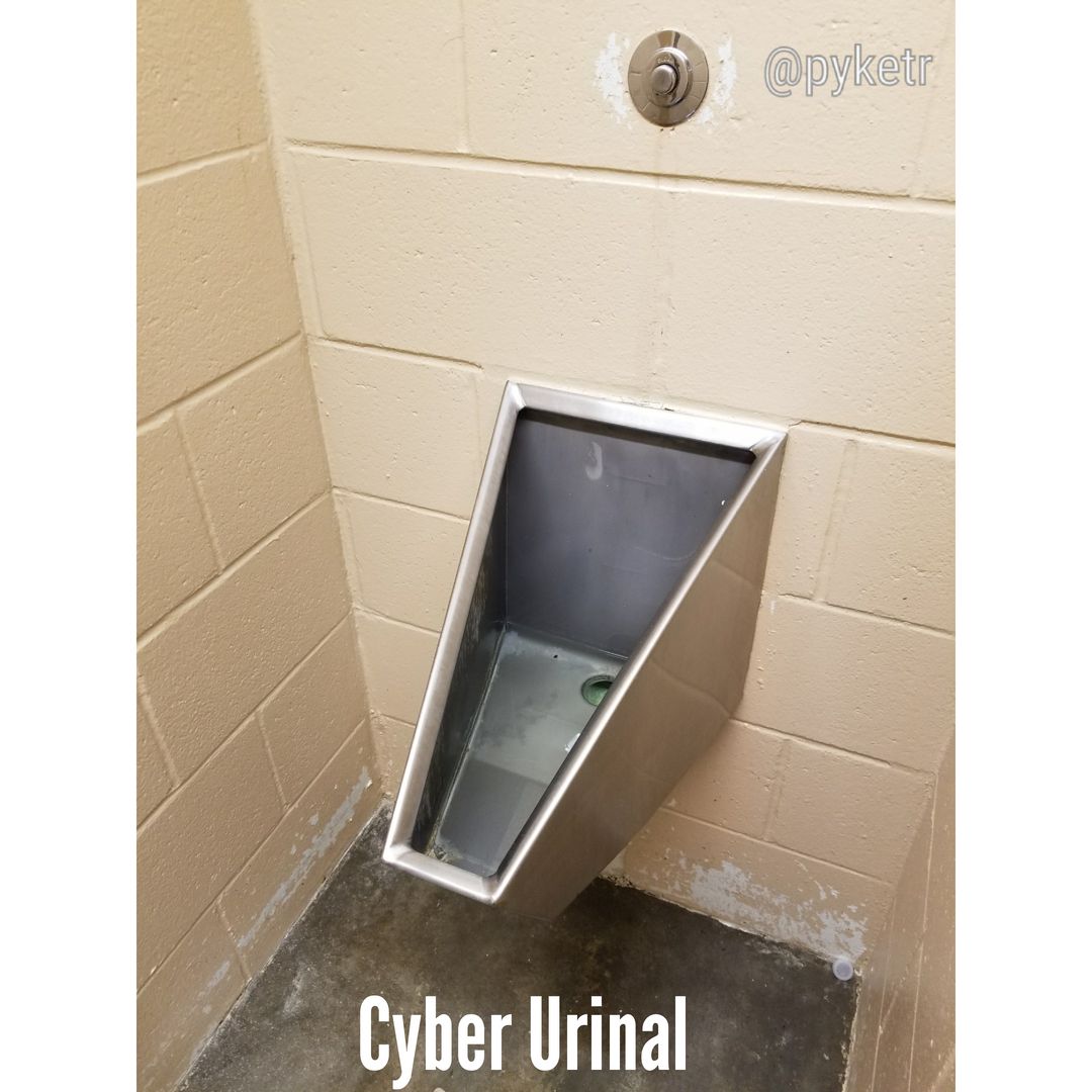 The Cyber Urinal