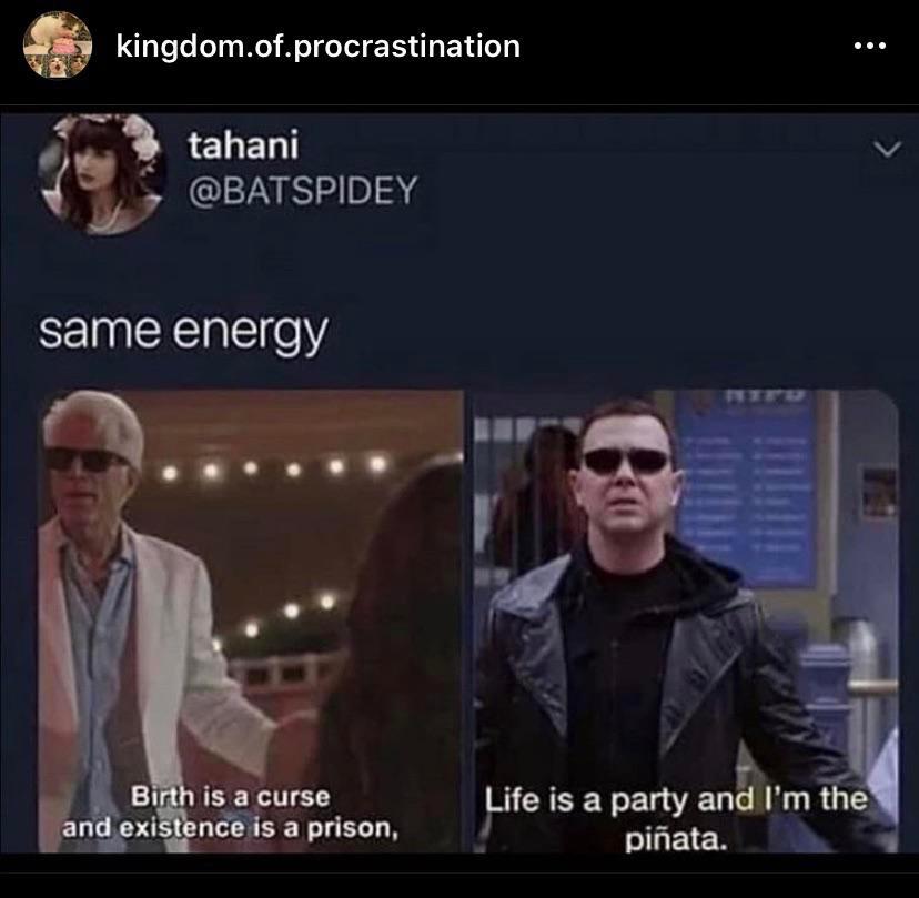 The Duo We Never Knew We Needed Scrolller