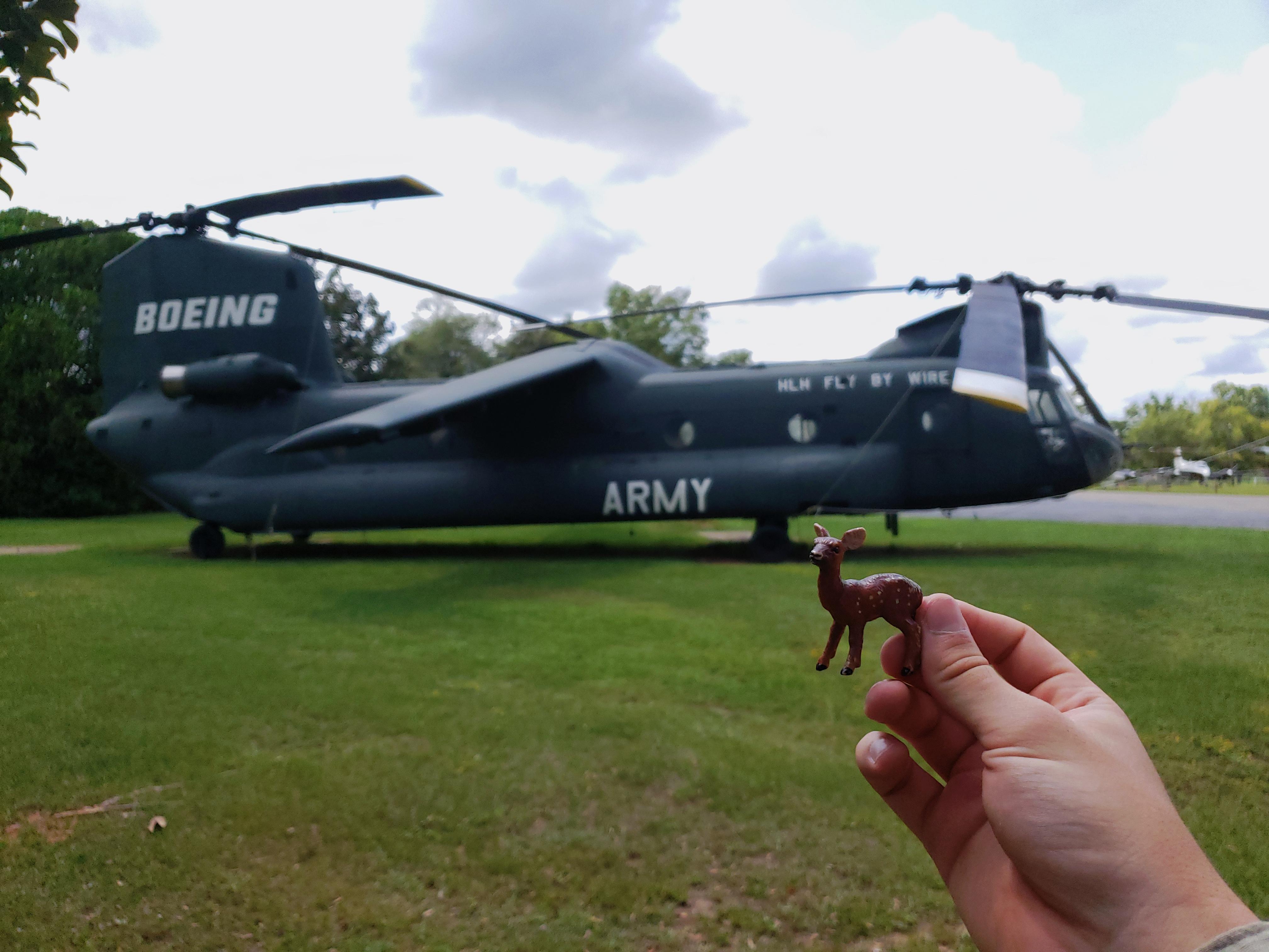 Fort Rucker Chinooks The Famed Winged Chinook of Fort Rucker | Scrolller