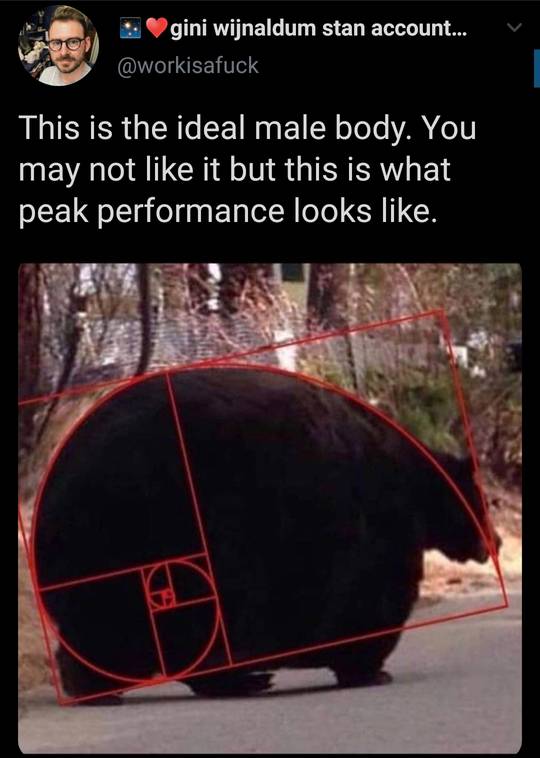 The ideal body shape