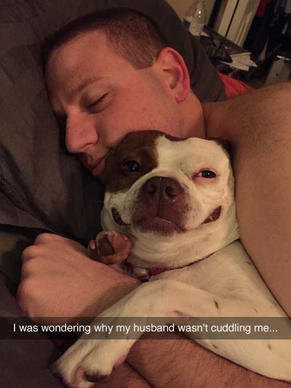 The look on this dog's face is priceless