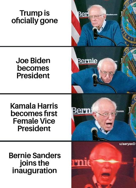 The mittens guy