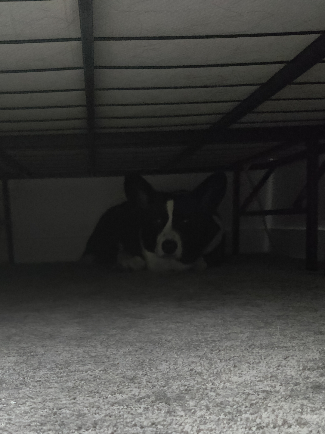 The monster under my bed