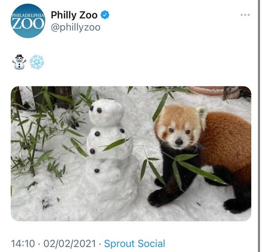 The pandas at the Philadelphia Zoo have a new friend