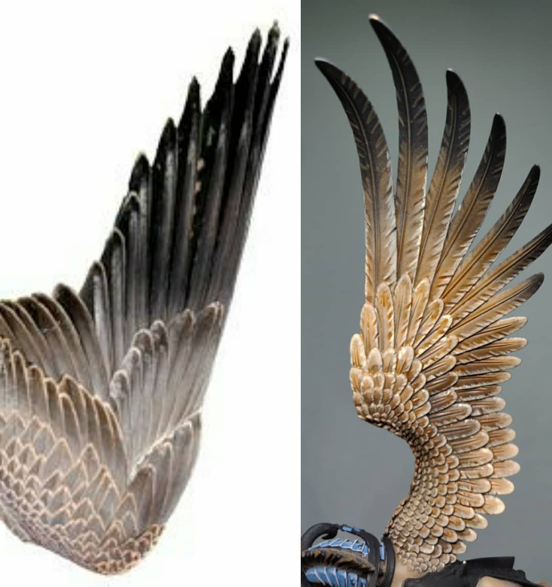 The picture I liked and my version of it on the wing of my Aventis Firestrike