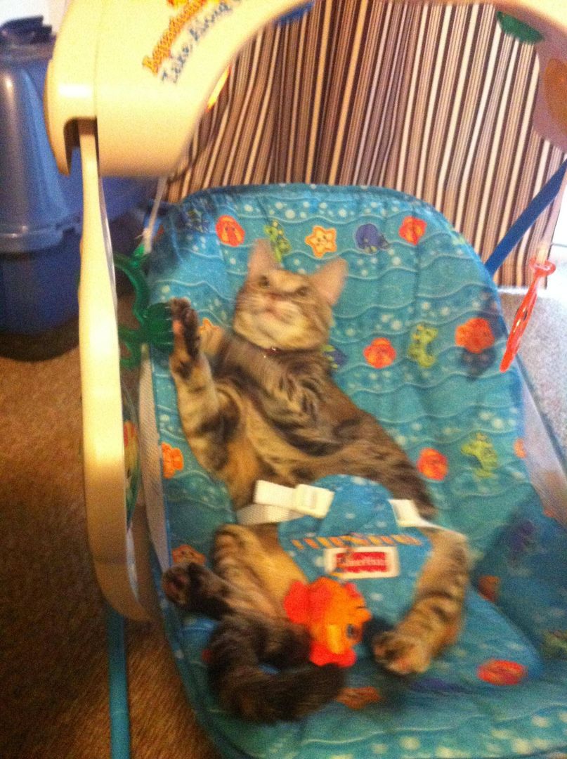 The Real Baby of the House