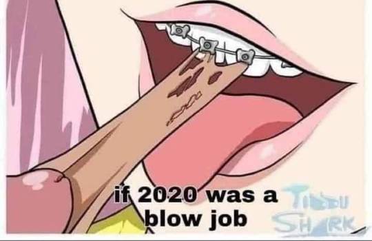 The skin...