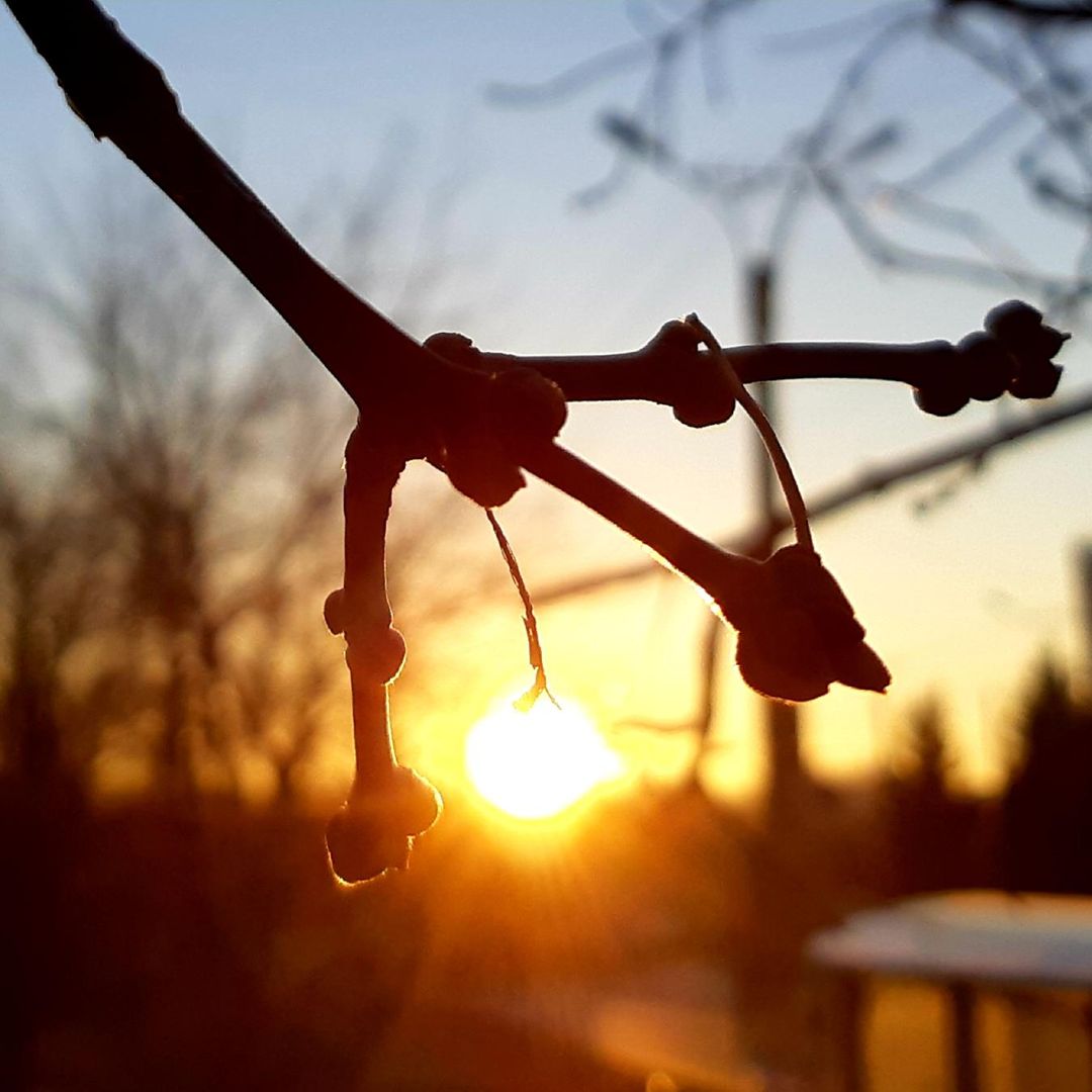 The sun looks like a lightbulb