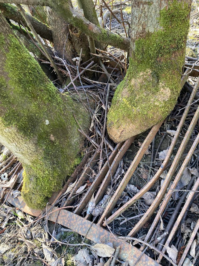 The tree trap has failed...