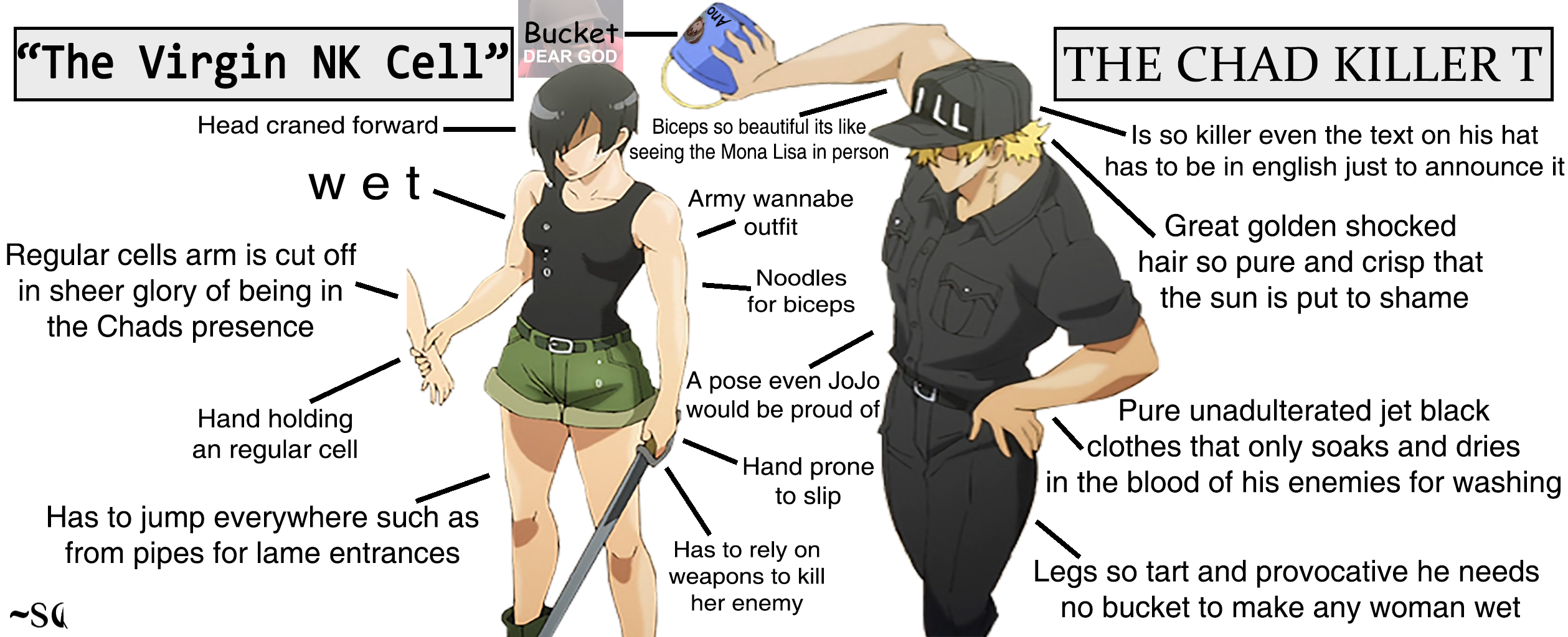 The Virgin NK Cell and The Chad Killer T Cell | Scrolller