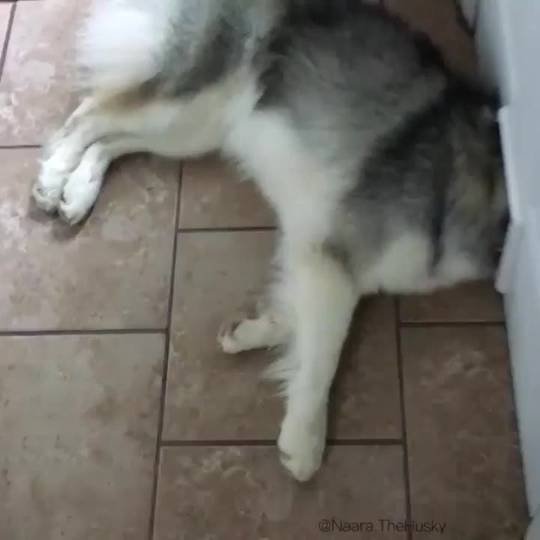 There seems to be a problem with my door